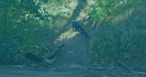 Cyclist carving steep singletrack turn on wooded downhill trail