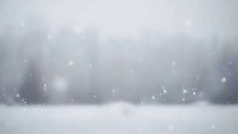 Snowfall Drifting Over Frozen Field Toward Blurred Treeline Under Overcast Winter Sky