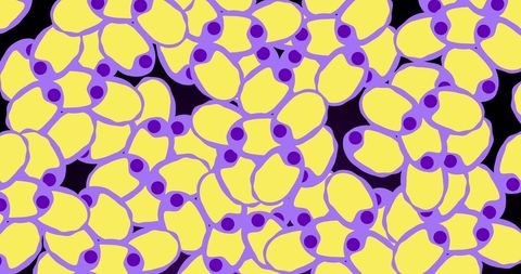 Colorful Abstract Cells Illustrating Human Biology Concepts - Download Free Stock Images Pikwizard.com