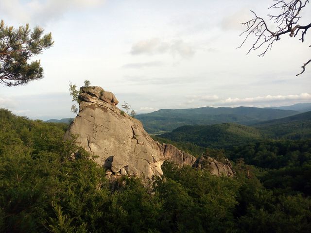 Detailed view of a rocky outcrop on a verdant hillside with an extensive forest beneath. Clear sky with some clouds enhancing the natural beauty. Perfect for promoting outdoor activities, travel destinations, or nature conservancy. Ideal for use in nature blogs, travel websites, and scenic calendars.