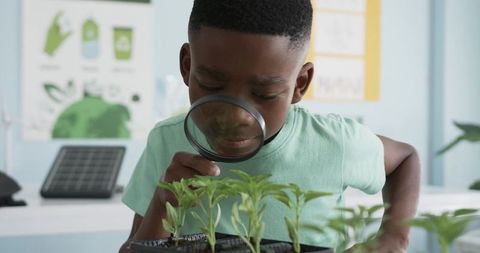 African boy examining seedlings with magnifying glass in classroom science lab for stem education