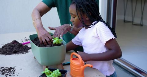Senior woman teaching young girl planting herbs on patio with green planter
