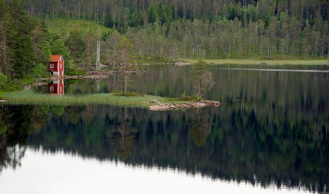 Serene Lake with Red Cabin and Forest Reflection