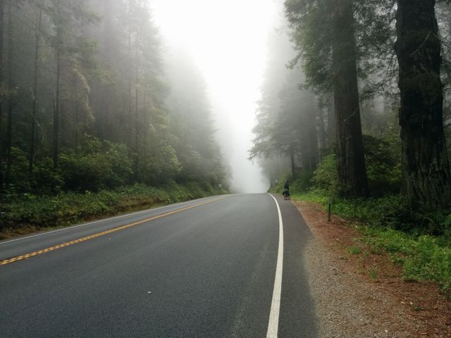Cyclist riding on a foggy forest road with tall trees surrounding the area. The image exudes tranquility and solitude, perfect for concepts like peaceful travel, solitary adventures, or the serene beauty of nature. Ideal for promotional materials for outdoor activities, environmental campaigns, or travel brochures highlighting serene and adventurous destinations.