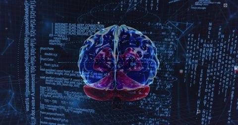 Digital Brain Analysis and Data Integration - Download Free Stock Images Pikwizard.com