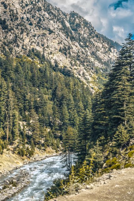 Scenic view of a mountain river flowing through a lush evergreen forest surrounded by rugged peaks under a cloudy sky. Ideal for promoting outdoor activities, nature conservation, travel destinations, and landscape photography.