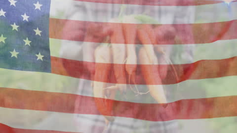 American Man Holding Carrots in Garden overlaid with Flag Animation