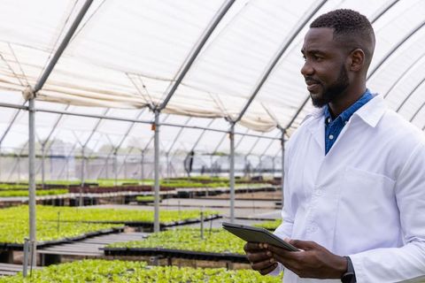 Agricultural Scientist Researching Plant Growth in Greenhouse