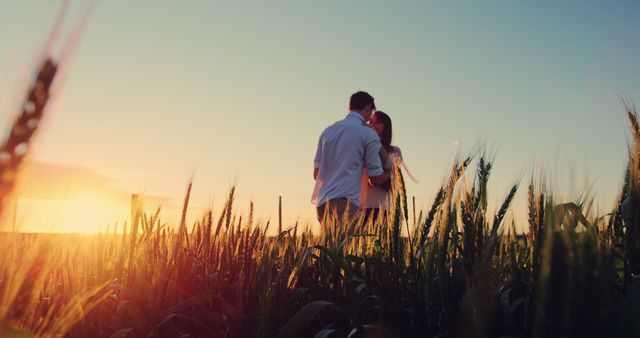 A young Caucasian couple shares a romantic moment in a golden wheat field at sunset, with copy space. Their affectionate embrace captures the beauty of a serene, rural landscape bathed in the warm glow of the evening sun.