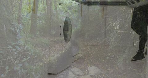 Washer Door Overlays Forest Trail with Adventurous Laundry Theme