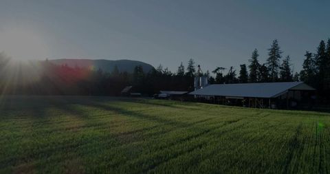Sunlight bathing green crop rows and barn silos at golden hour on rural farm