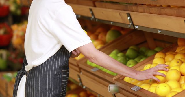 Grocery store employee arranging fruits and vegetables on wooden display shelves. Useful for advertisements related to supermarkets, fresh produce, healthy eating, food markets, and retail job opportunities.