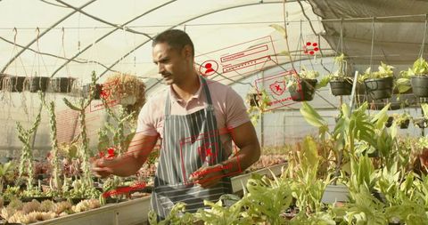 Greenhouse gardener tending potted succulents in striped apron among hanging pots and lush displays