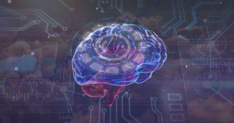 Futuristic Digital Brain with Circuit Board Elements - Download Free Stock Images Pikwizard.com
