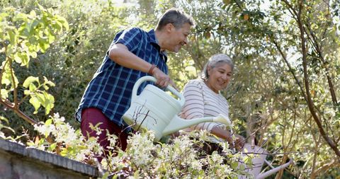 Smiling Senior Couple Watering Plants in Lush Garden