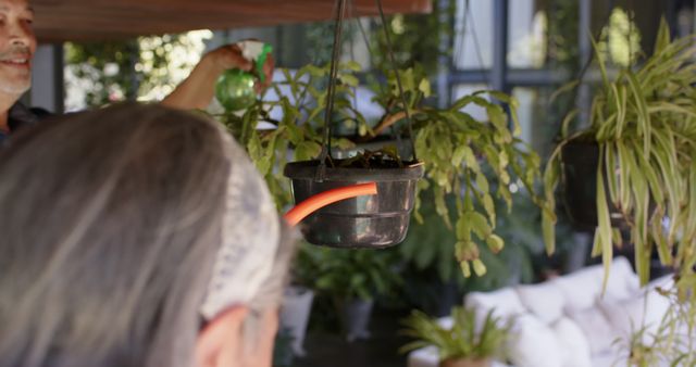 Elderly People Caring for Hanging Plants in Cozy Garden - Download Free Stock Images Pikwizard.com