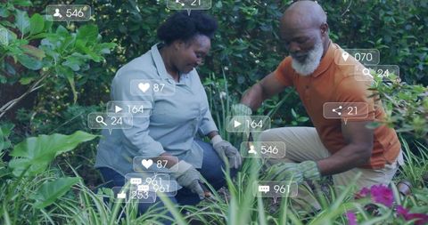 Kneeling couple tending garden bed, planting flowers and trimming foliage with gloves