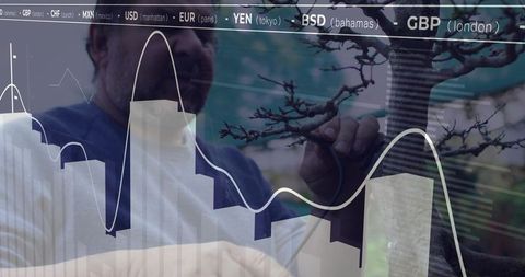 Man pruning bonsai tree with financial data overlay