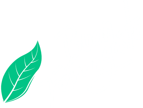 Buon ferragosto hand-lettered text with leaf design on transparent background