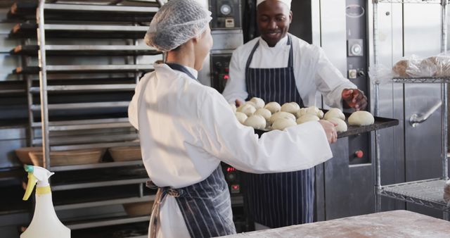 Bakers Preparing Dough Balls in Industrial Kitchen - Download Free Stock Images Pikwizard.com