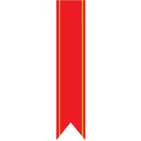 red decorative ribbon on transparent background for celebrations - Download Free Stock Videos Pikwizard.com
