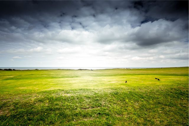 Expansive green field stretching out under a dramatic cloudy sky. Ideal for projects focusing on nature, tranquility, open landscapes, or rural settings. This open grassland scene can be used as a background image, for environmental content, or to evoke feelings of peace and vastness.