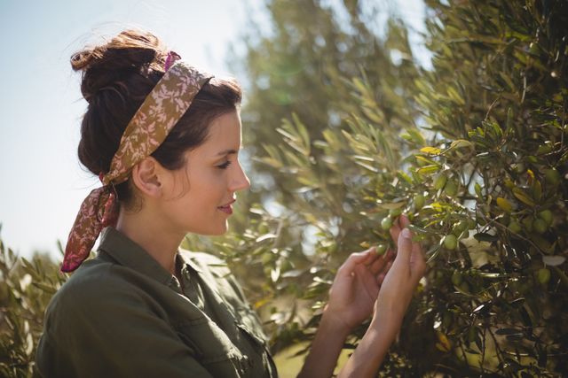 Close up of woman holding olive tree at farm on sunny day