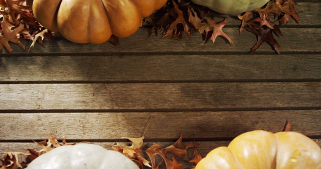Bright and colorful pumpkins arranged on a wooden surface with scattered fall leaves. Ideal for seasonal decorations, harvest-themed promotions, Thanksgiving invitations, or cozy autumn-themed designs.