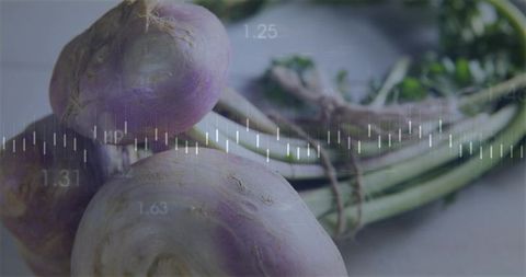 Fresh purple turnips resting on light table with waveform overlay for farm-to-tech concept