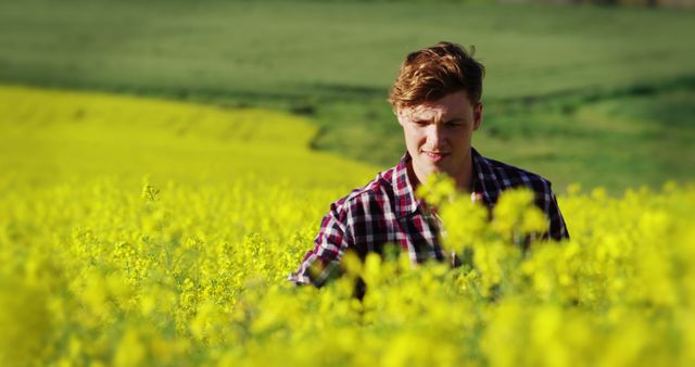 Young man standing in a field of bright yellow flowers, wearing a plaid shirt. Ideal for promoting outdoor activities, springtime adventures, and nature retreats. Useful for travel brochures, blogs about nature, and lifestyle advertisements.