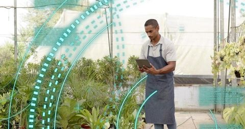 Horticulturist using technology for analysis in greenhouse