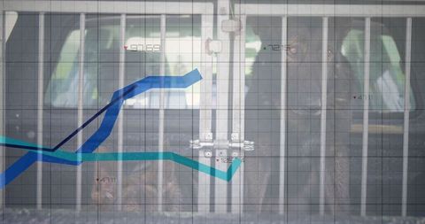 Bear Behind Zoo Bars with Overlaid Data Chart Representation