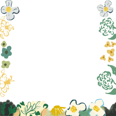 Transparent Decorative Floral Frame with Daisies and Foliage - Download Free Stock Videos Pikwizard.com