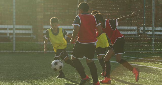 Young Boys Playing Soccer on Outdoor Field in Afternoon Sun - Download Free Stock Images Pikwizard.com