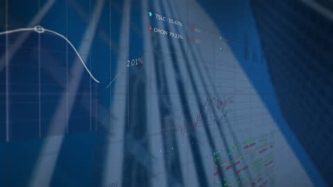 Digital Financial Data and Global Business Interface