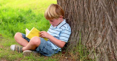 Young Boy Reading Book Under Tree Outdoors - Download Free Stock Images Pikwizard.com