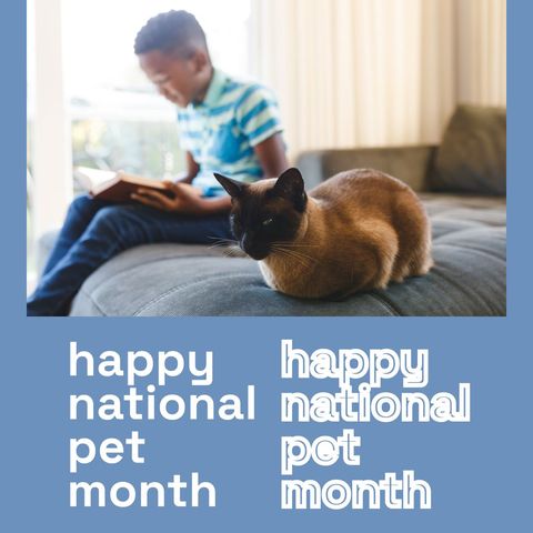 Boy Reading With Birman Cat Celebrating National Pet Month