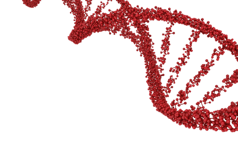 transparent red dna helix structure with molecule details - Download Free Stock Videos Pikwizard.com