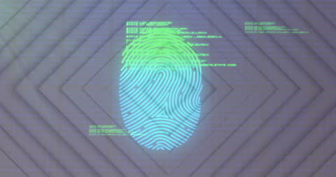 Digital Fingerprint with Data Processing Visualization