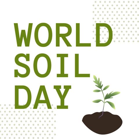 World Soil Day Illustration with Young Plant and Soil
