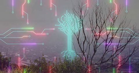 Neon circuitry blending with nature on misty hill