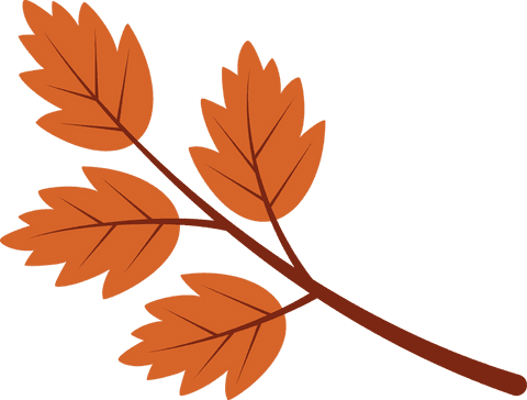 Autumnal branch on transparent background with vibrant orange leaves