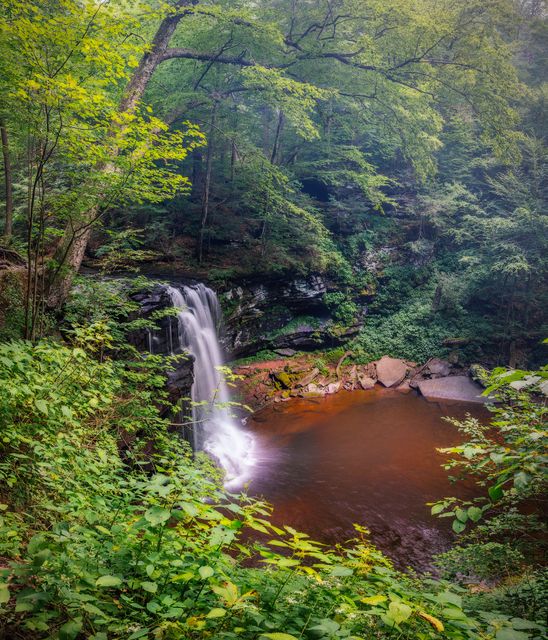 Dense forest surrounds a stunning waterfall cascading into a serene pool. Lush greenery and vibrant foliage create a calming and peaceful scene perfect for nature-oriented designs, travel destination promos, and outdoor activity advertisements.