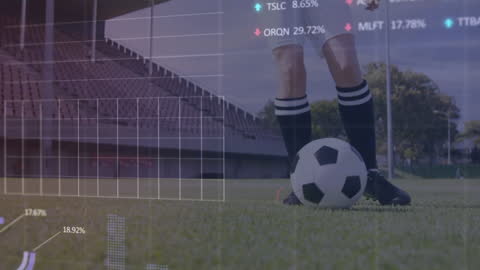 Financial Data Visualization Over Soccer Field