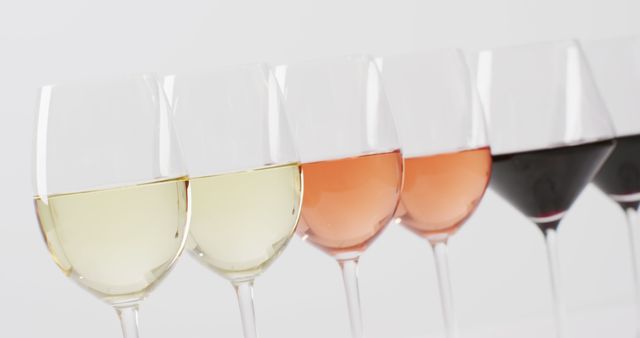 Elegant, lined up wine glasses displaying a range of wines from white to red. Perfect for content related to wine tasting events, alcohol beverage industry, food and drink blogs, winery advertising and promotional materials.