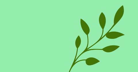Minimalist Green Leaves on Pastel Background - Download Free Stock Images Pikwizard.com