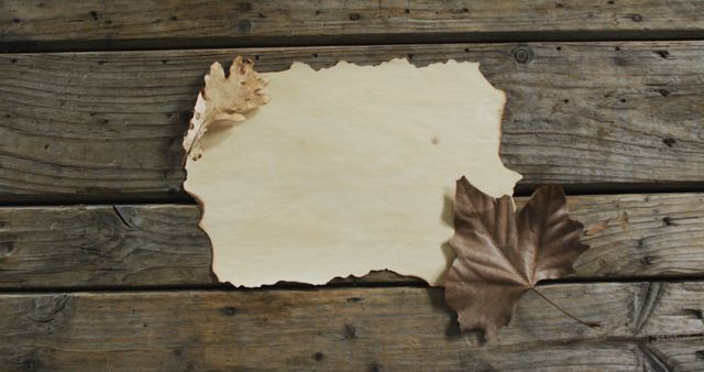 Close up view of paper with copy space and autumn leaves on wooden surface. autumn season concept