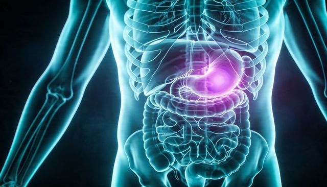 Glowing stomach within translucent torso highlighting digestive system anatomy, abdominal pain