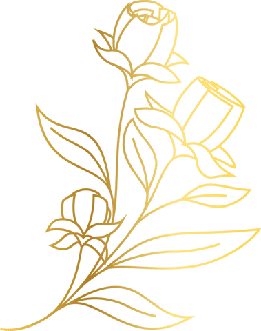 Minimalist Golden Rosebud Art on Transparent Background - Download Free Stock Videos Pikwizard.com