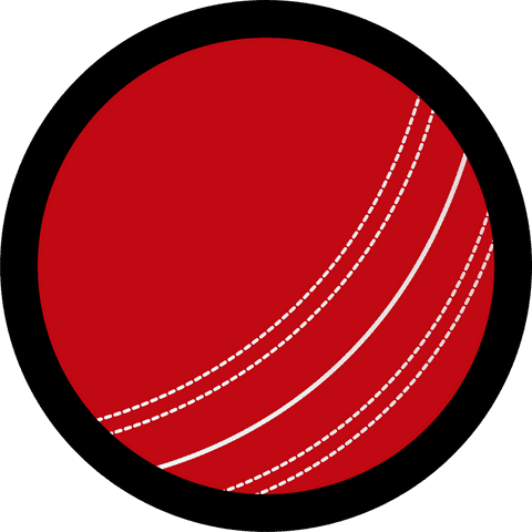 transparent red cricket ball with white seam in vector style - Download Free Stock Videos Pikwizard.com